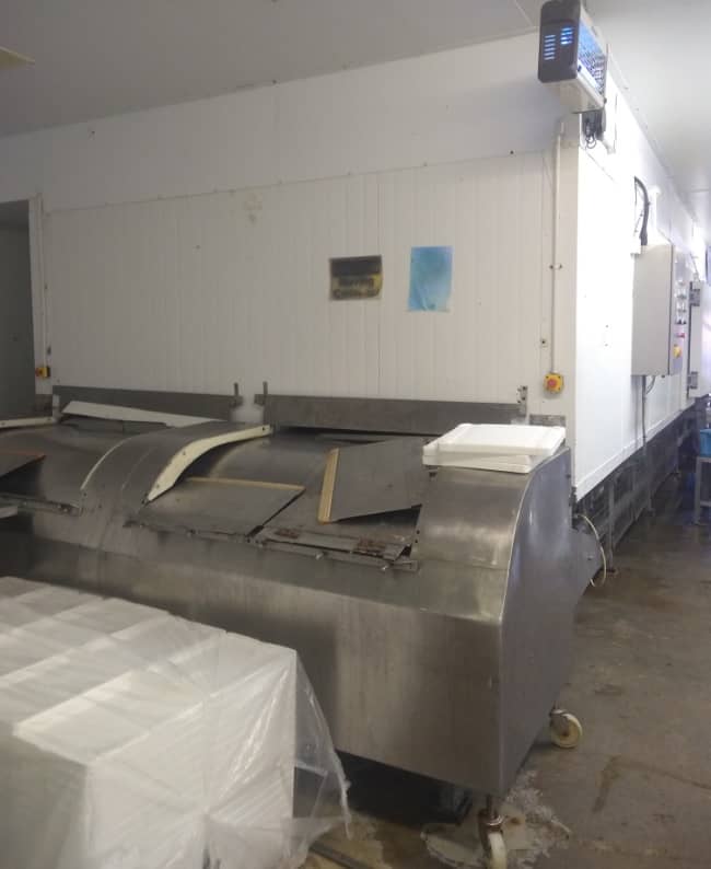 Torry IQF Twin Belt Freezer