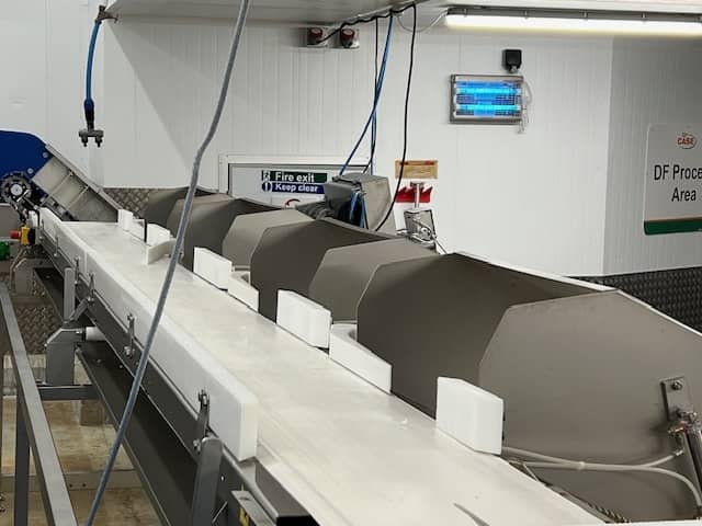 Marel Wholefish Grader – 4 station