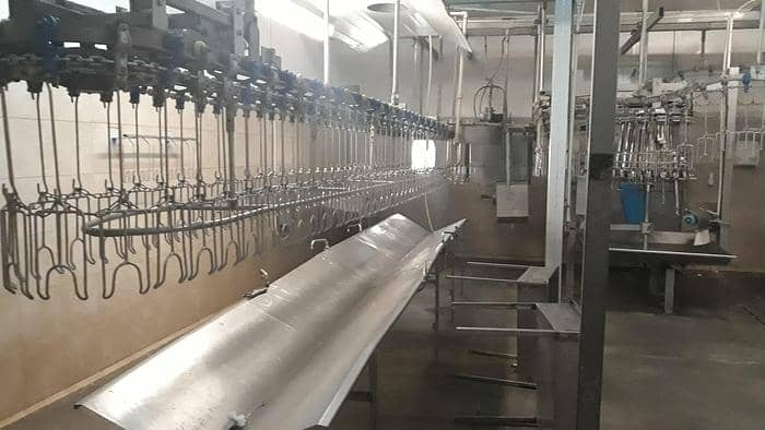 2000 Birds per hour slaughterline