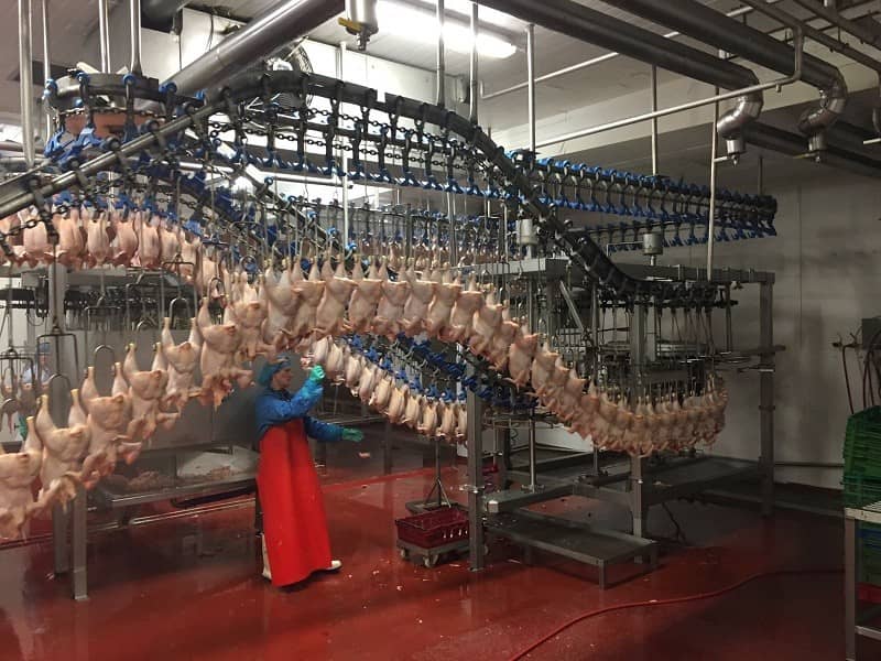 Linco Poultry Processing Plant
