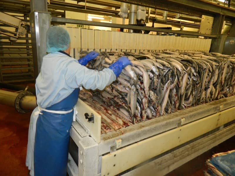 DSi Vertical Plate Freezers