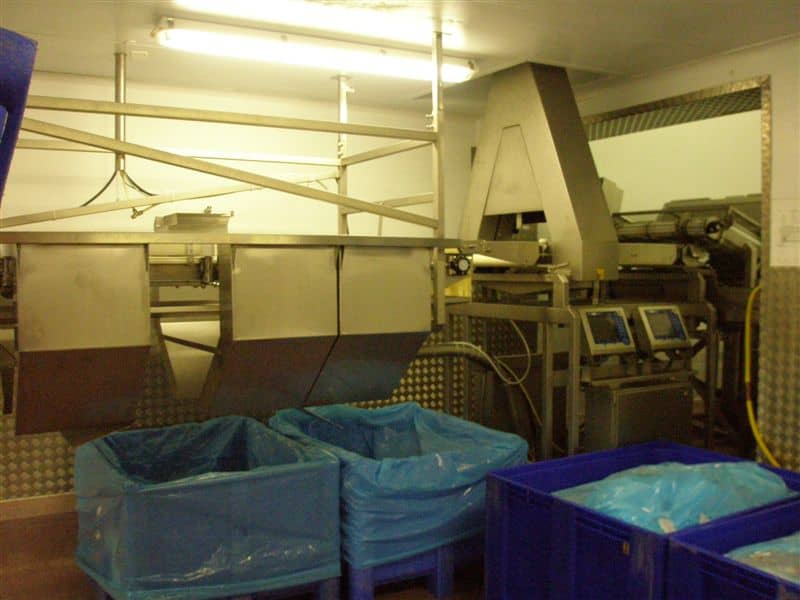 Marel 4 Station Vision Size/Shape Grader